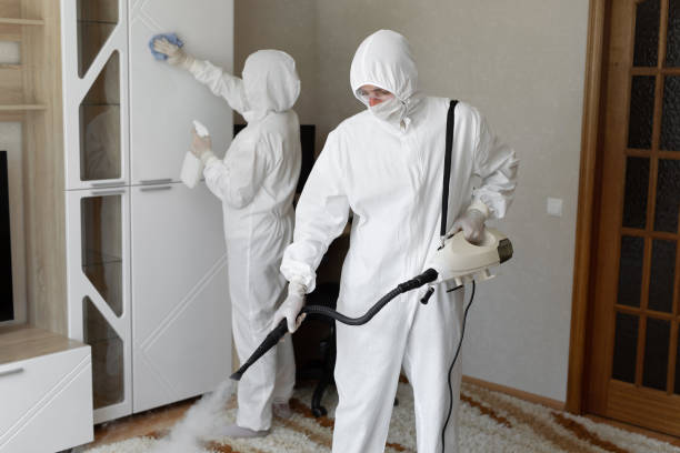 Professional Mold Remediation in Merkel, TX