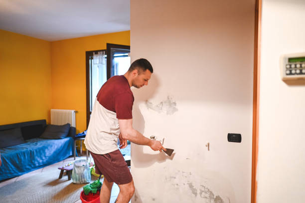 Best DIY Mold Remediation Support Services in Merkel, TX